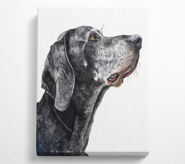  A Canvas Print of Grey Hues Of Hope Canvas Print