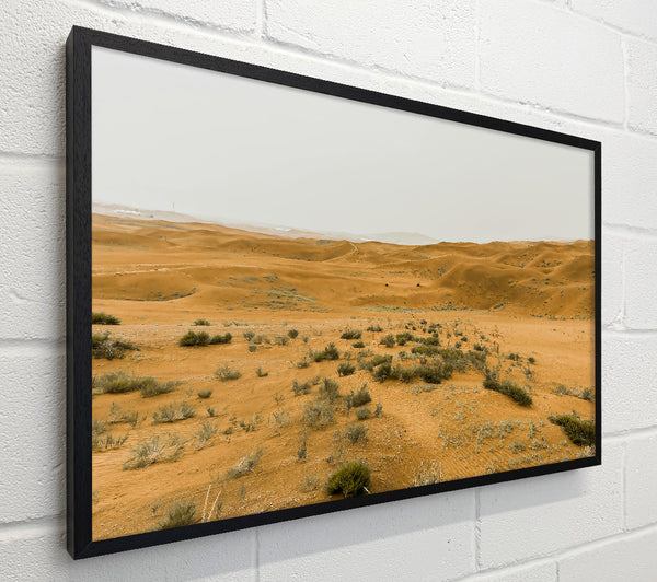Golden Desert Dunes