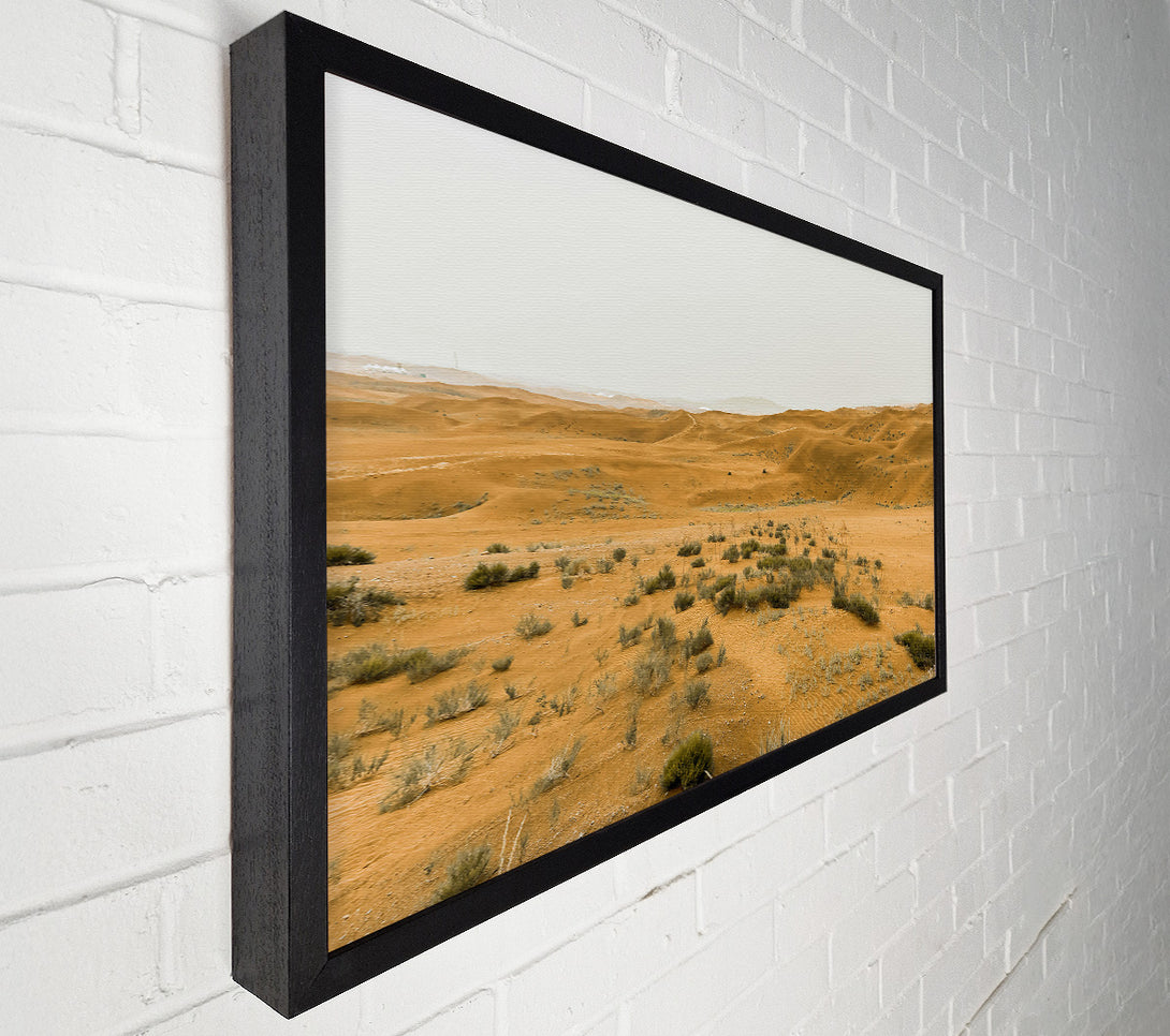  A Canvas Print of Golden Desert Dunes Canvas Print