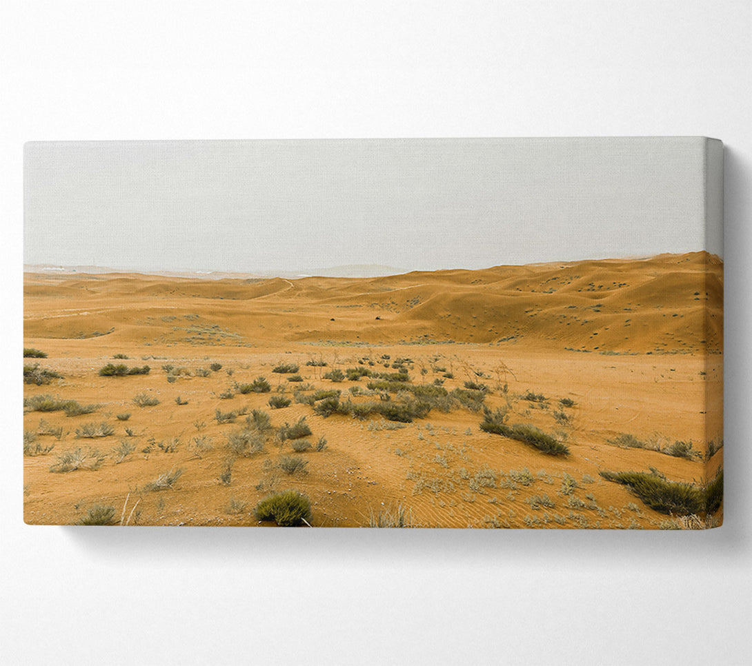  A Canvas Print of Golden Desert Dunes Canvas Print