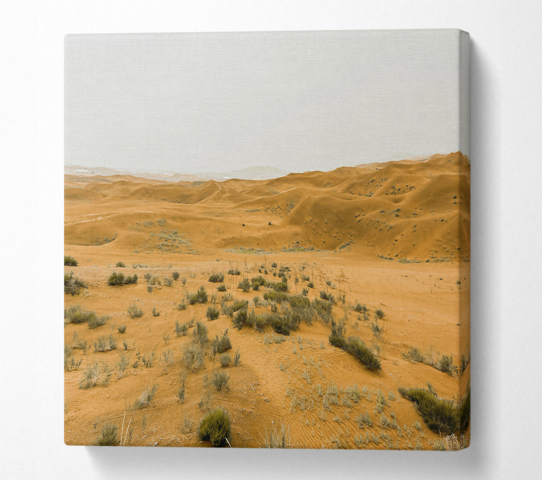  A Canvas Print of Golden Desert Dunes Canvas Print