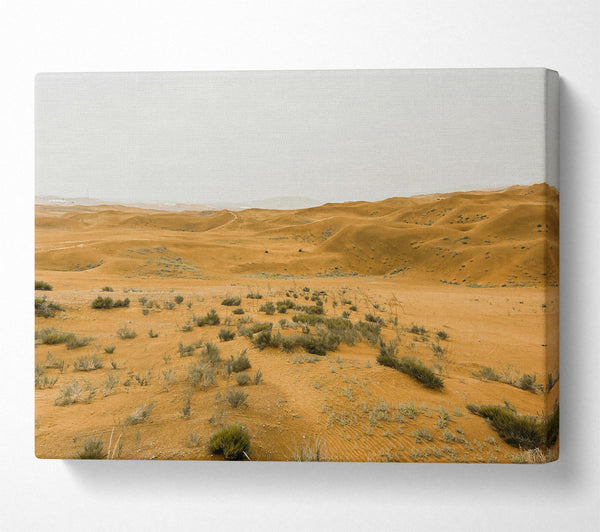  A Canvas Print of Golden Desert Dunes Canvas Print
