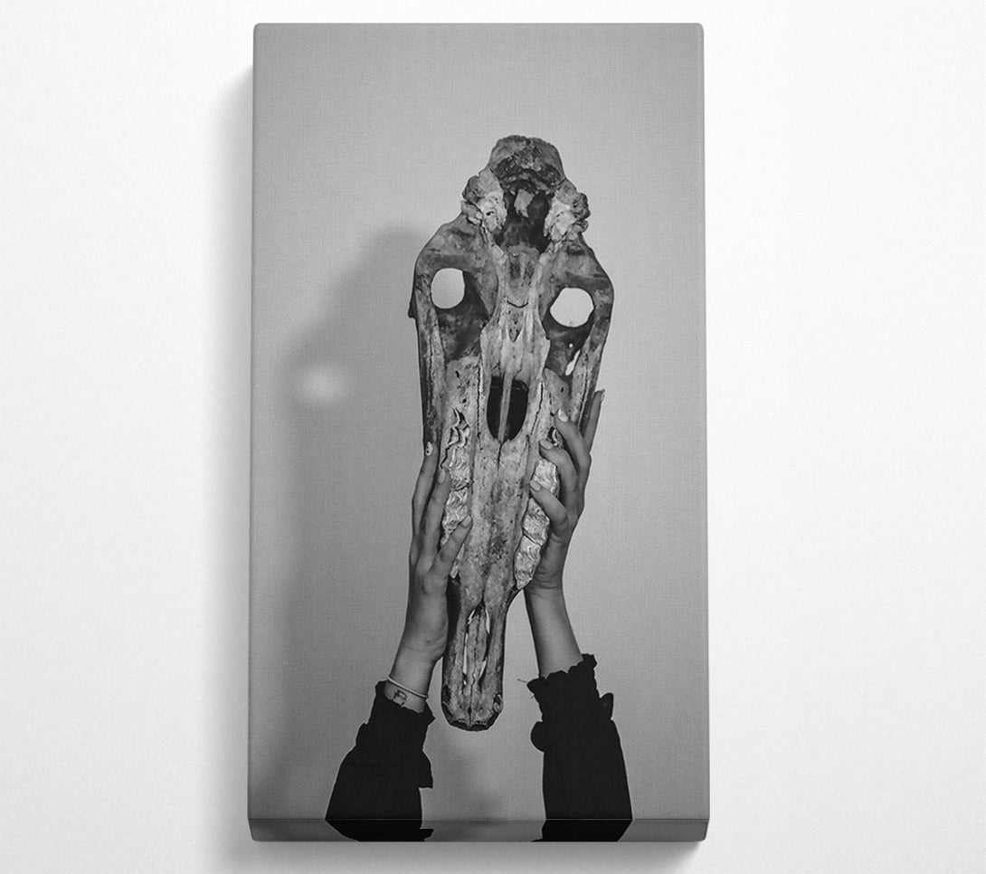  A Canvas Print of Pale Bone Embrace Canvas Art