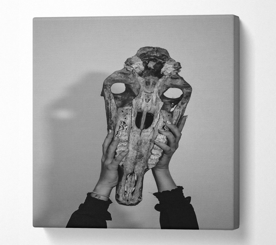  A Canvas Print of Pale Bone Embrace Canvas Art