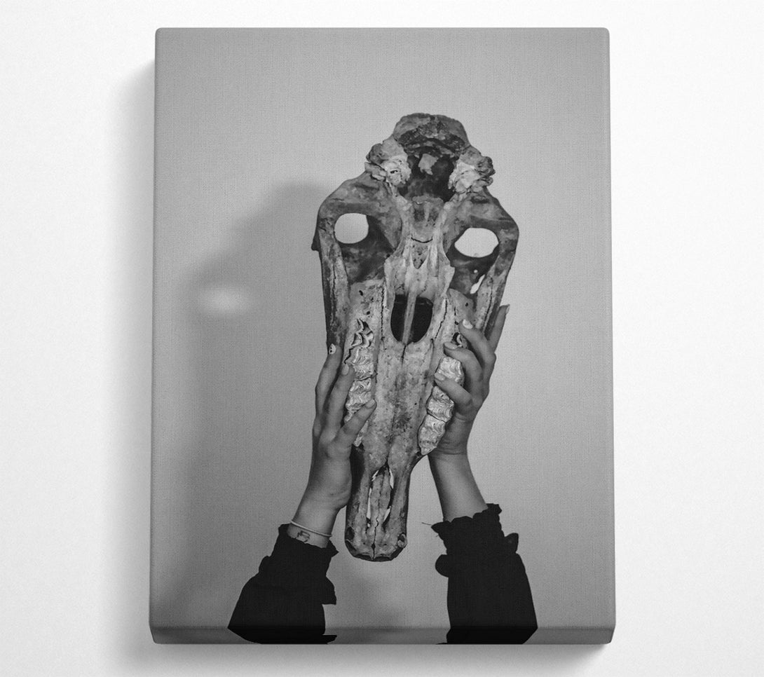  A Canvas Print of Pale Bone Embrace Canvas Art