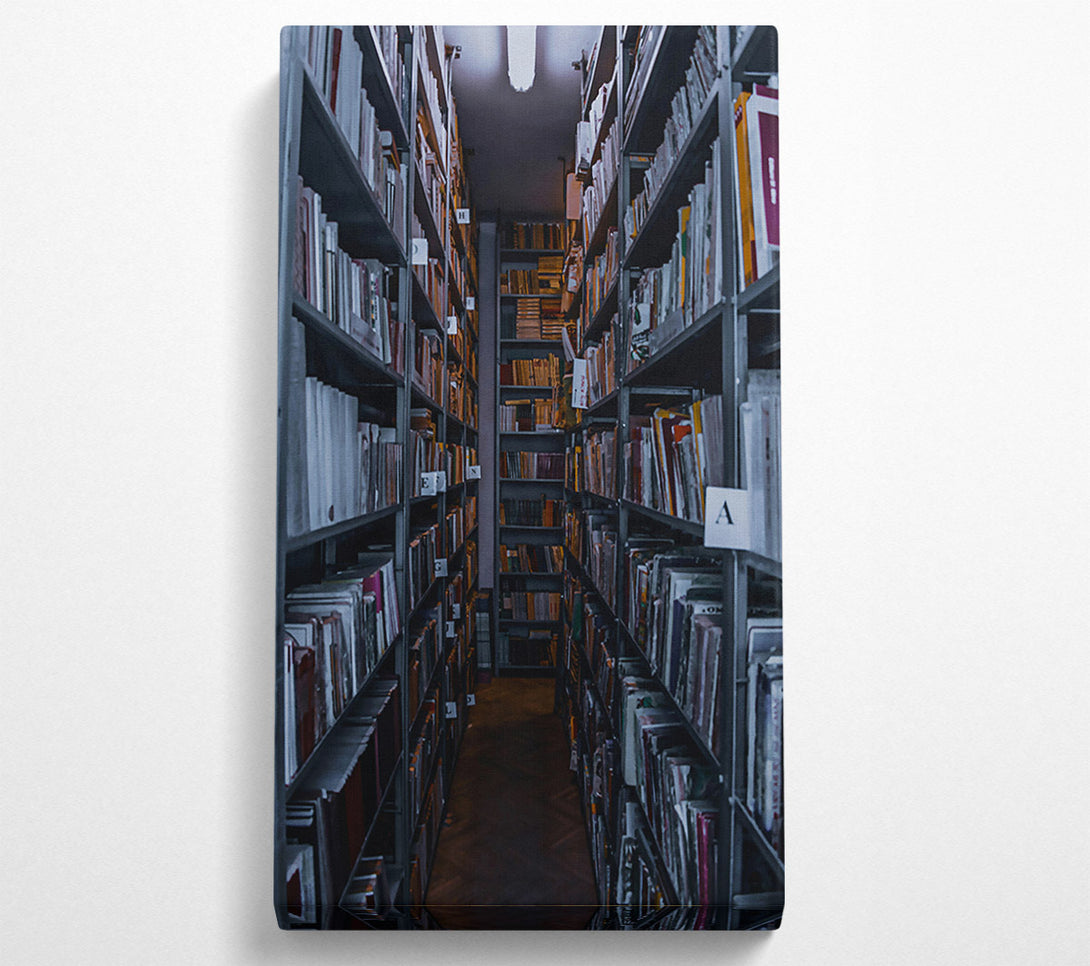  A Canvas Print of Gray Book Passageway Canvas Wall Art