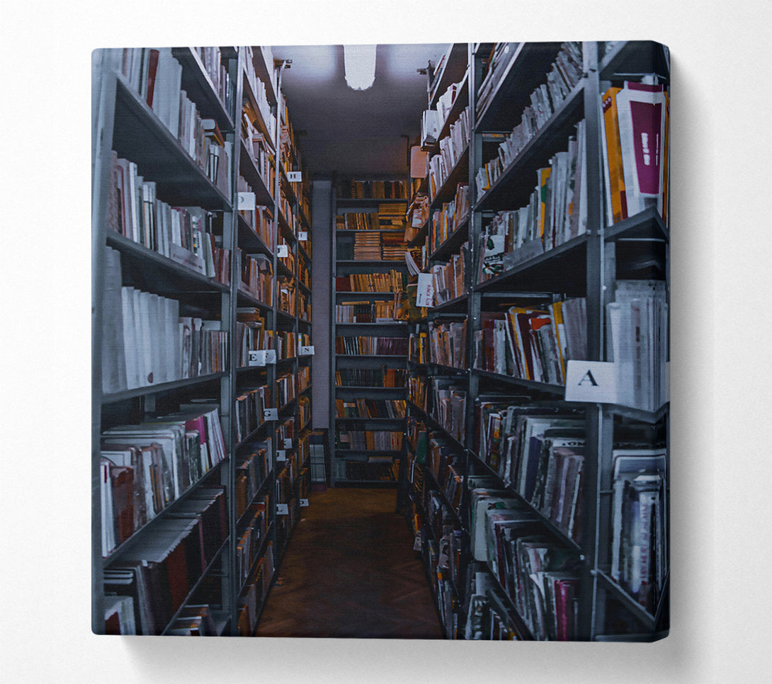  A Canvas Print of Gray Book Passageway Canvas Wall Art