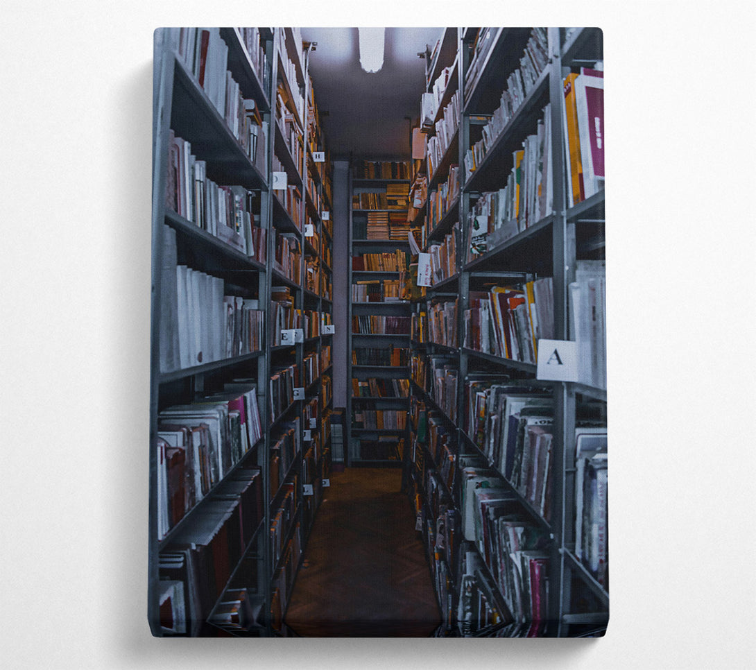  A Canvas Print of Gray Book Passageway Canvas Wall Art
