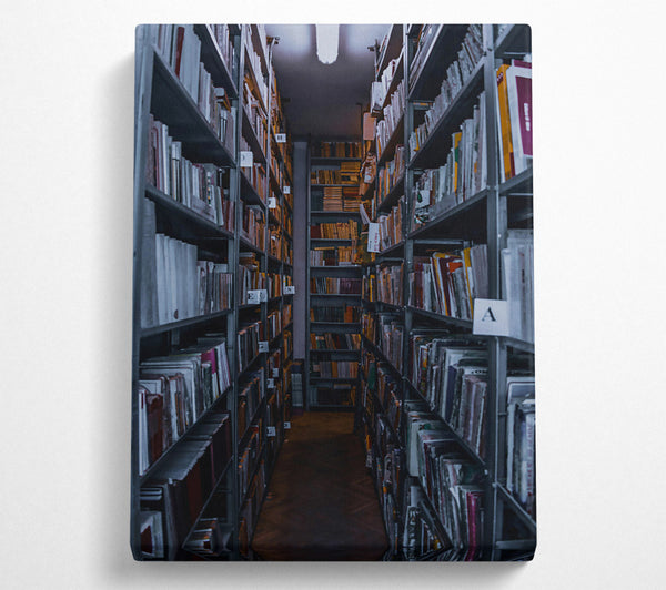  A Canvas Print of Gray Book Passageway Canvas Wall Art