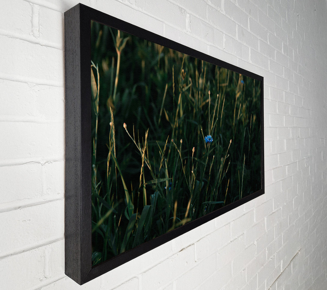  A Canvas Print of Blue Bloom In Green Canvas Art