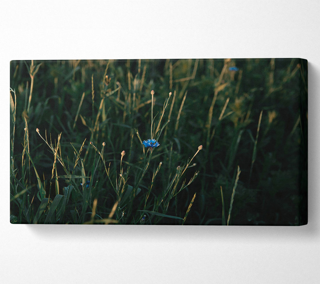  A Canvas Print of Blue Bloom In Green Canvas Art