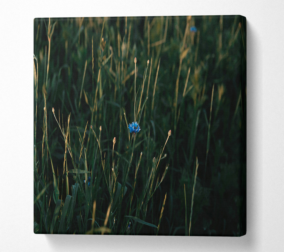  A Canvas Print of Blue Bloom In Green Canvas Art