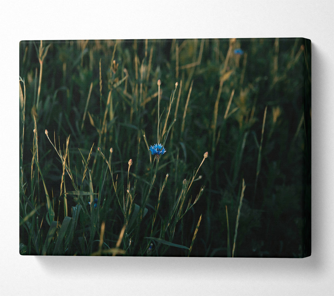  A Canvas Print of Blue Bloom In Green Canvas Art