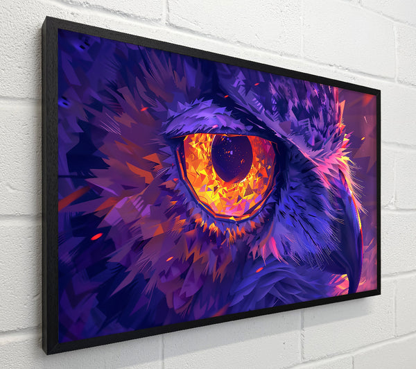 Purple Owl'S Gaze