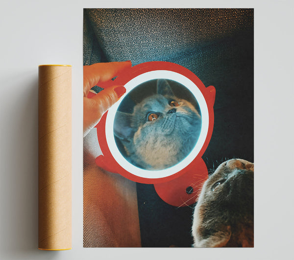 Red Mirror Reflection Poster