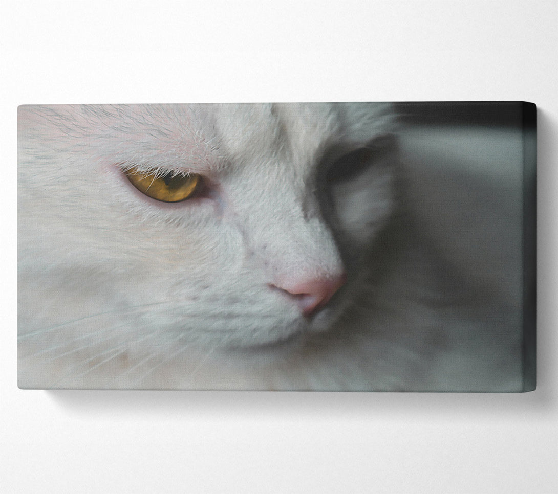  A Canvas Print of Golden Gaze In White Canvas Wall Art
