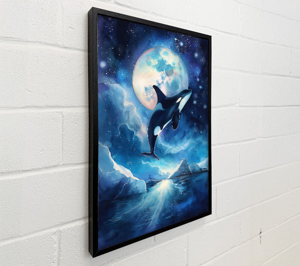 Blue Moon Orca Leap