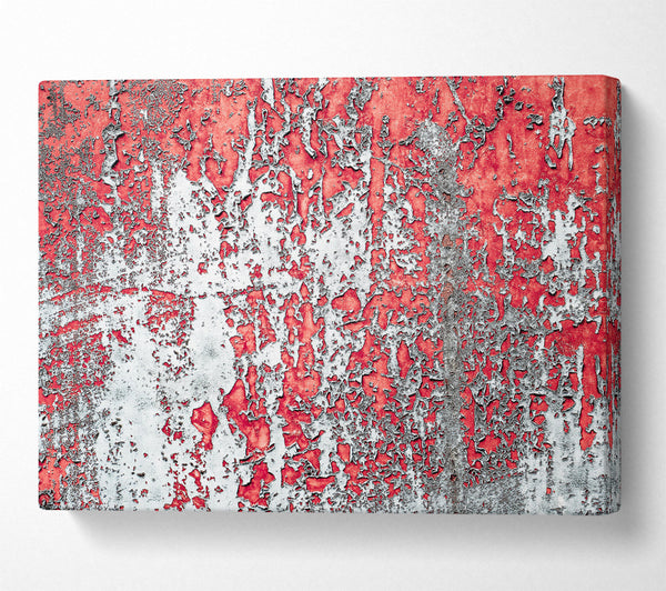  A Canvas Print of Crimson Peeling Away Canvas Art
