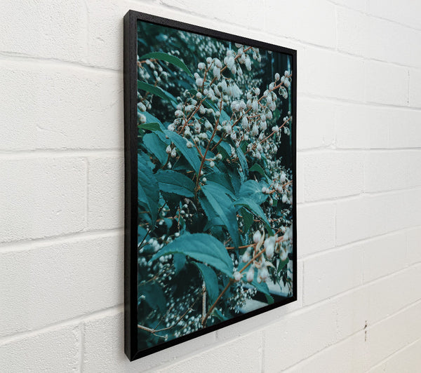 Teal Blooms And Leaves.
