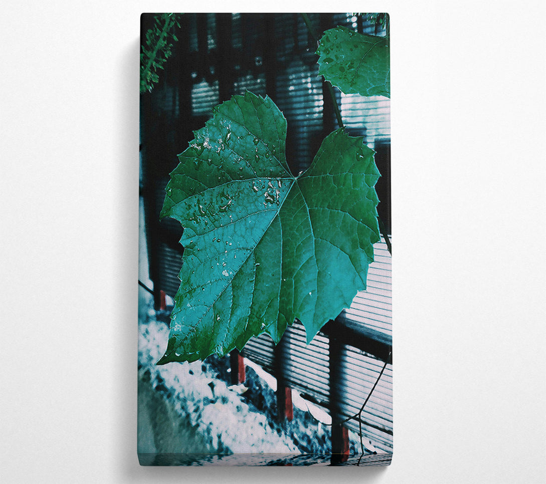  A Canvas Print of Teal Leaf Rain Drops Canvas Print