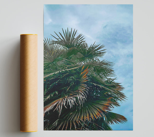 Green Palm Canopy Giclee Print