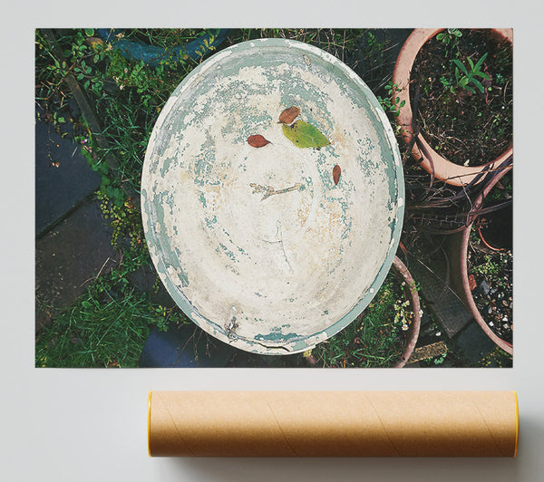 Green Weathered Dish Print