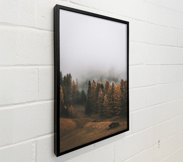 Golden Forest Fog