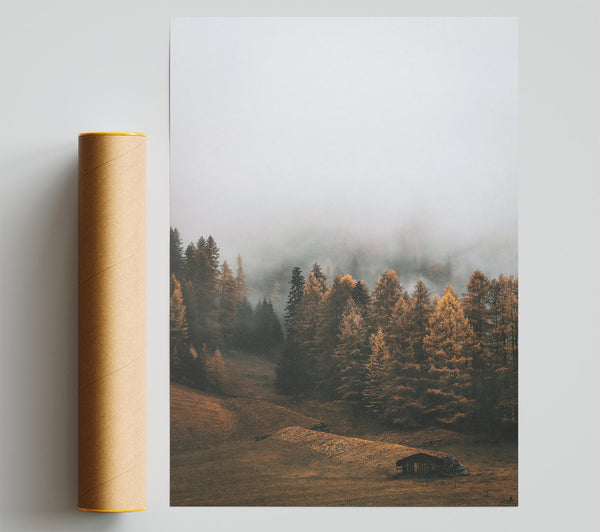 Golden Forest Fog Giclee Print