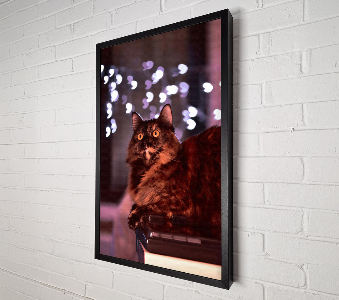  A Canvas Print of The Brown Light Gaze Canvas Print