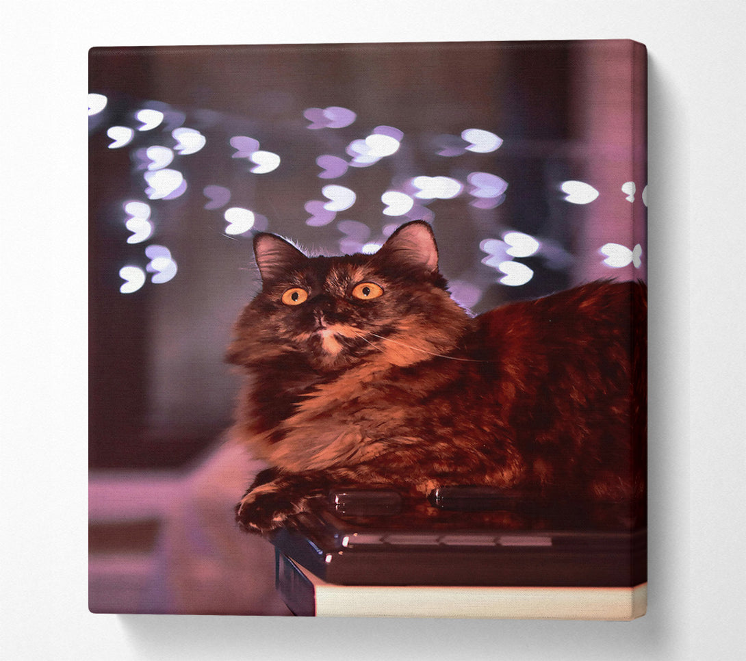  A Canvas Print of The Brown Light Gaze Canvas Print