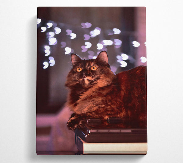  A Canvas Print of The Brown Light Gaze Canvas Print
