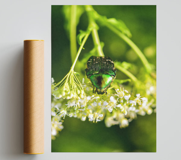 Emerald Beetle Bloom Poster
