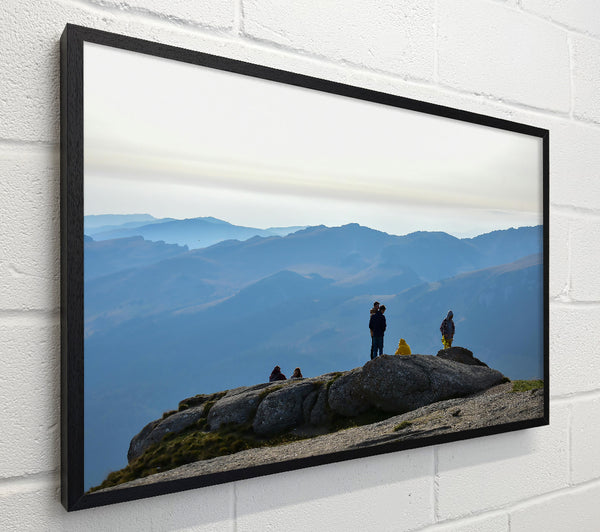 Blue Horizon Viewers
