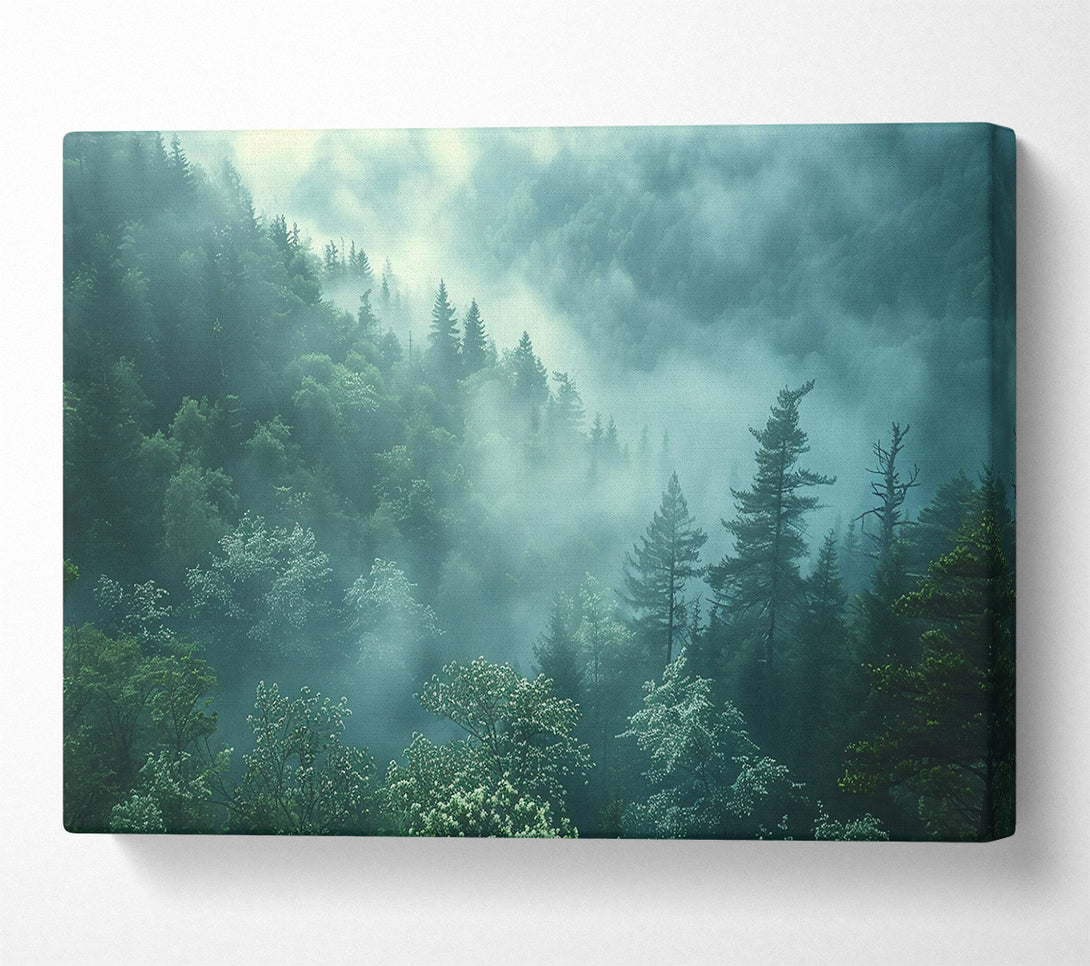 A Canvas Print of Emerald Foggy Forest Canvas Print