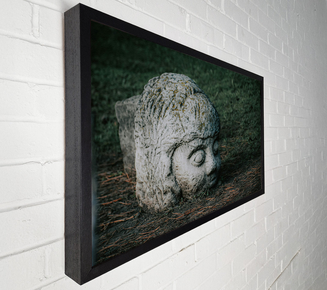  A Canvas Print of Grey Stone Gaze Canvas Print