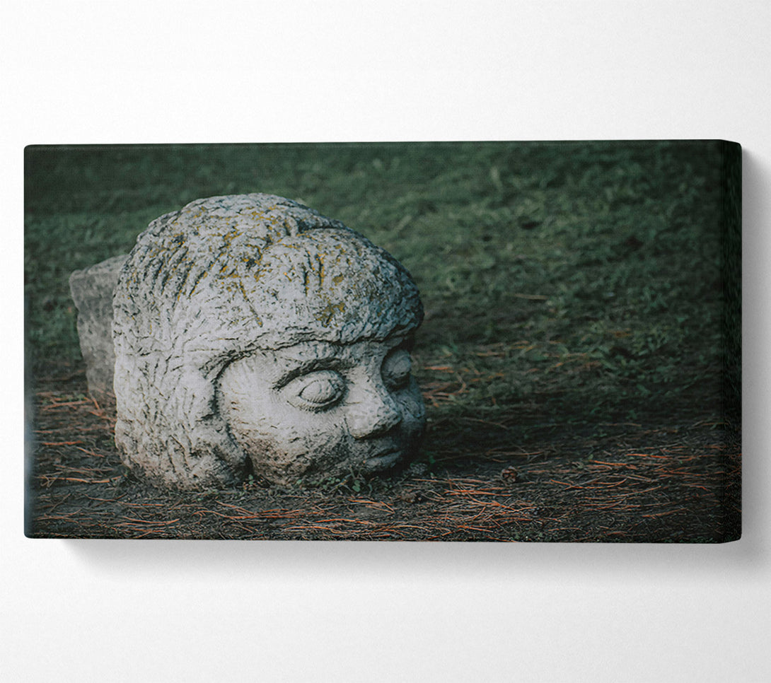  A Canvas Print of Grey Stone Gaze Canvas Print
