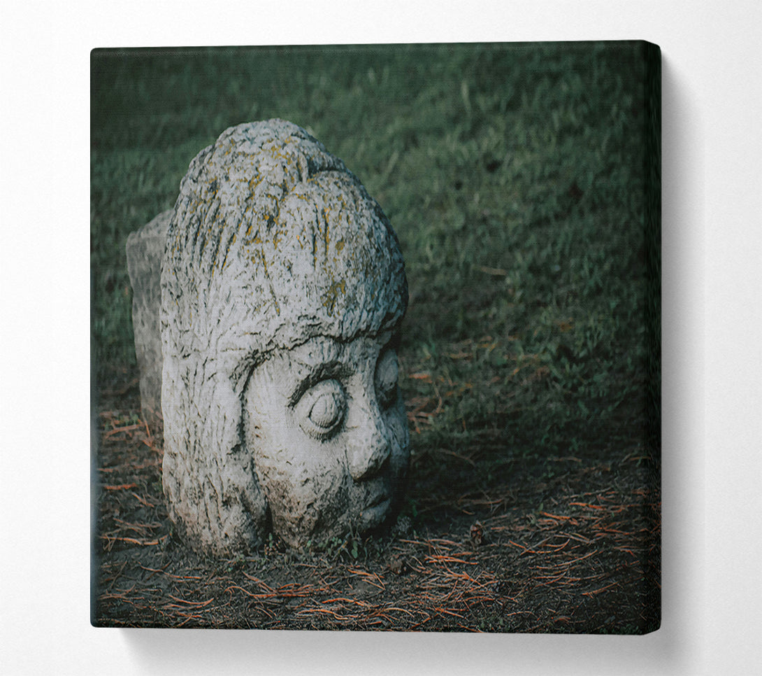  A Canvas Print of Grey Stone Gaze Canvas Print