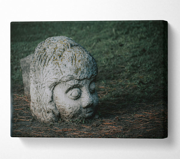  A Canvas Print of Grey Stone Gaze Canvas Print