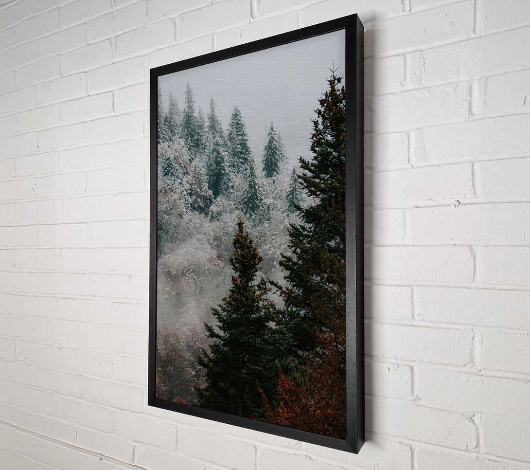  A Canvas Print of Green Mist Pines Canvas Art