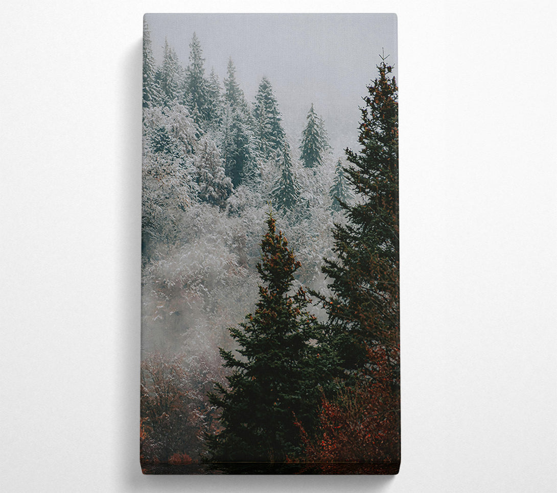  A Canvas Print of Green Mist Pines Canvas Art
