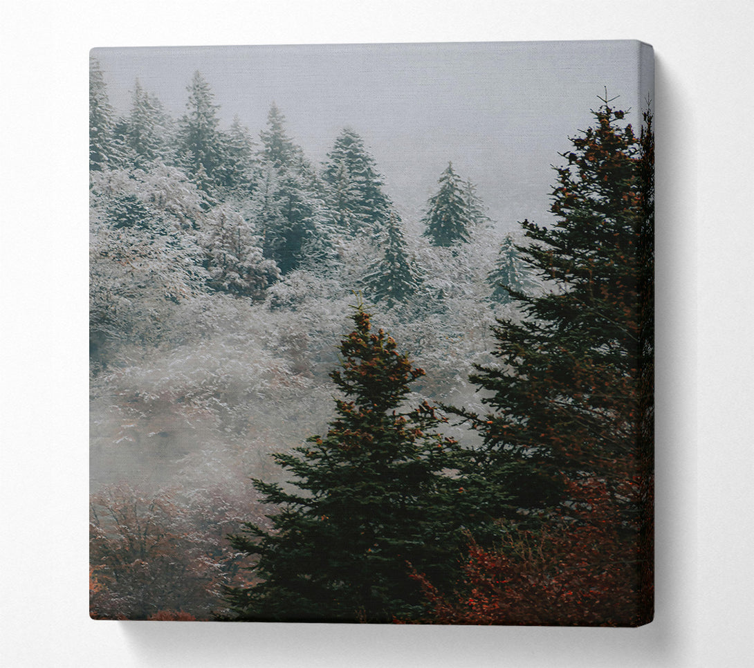  A Canvas Print of Green Mist Pines Canvas Art