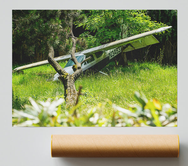 Green Plane In The Woods Giclee Print
