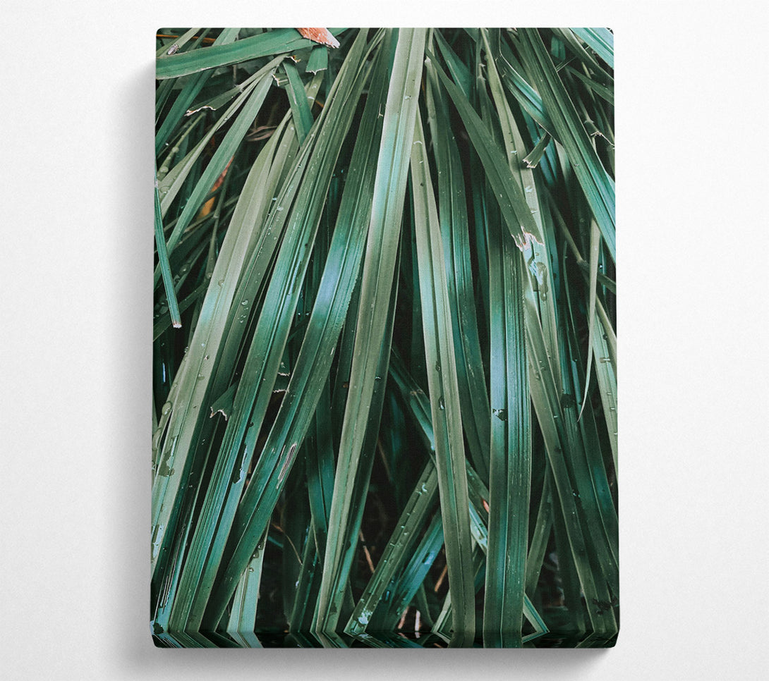  A Canvas Print of Emerald Green Blades Canvas Wall Art