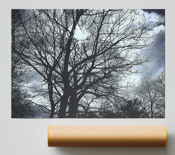 Blue Sky Branches Poster