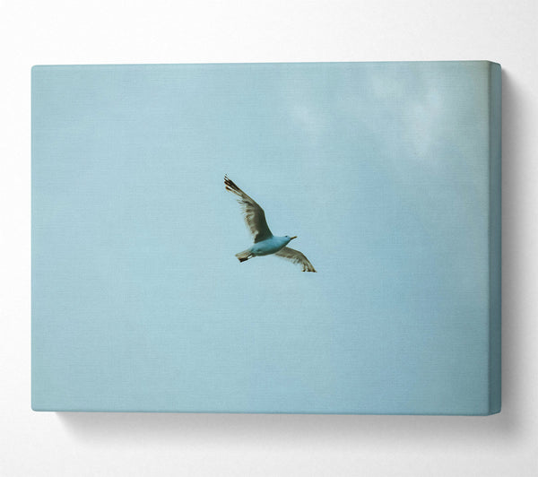  A Canvas Print of Pale Blue Soaring Canvas Wall Art