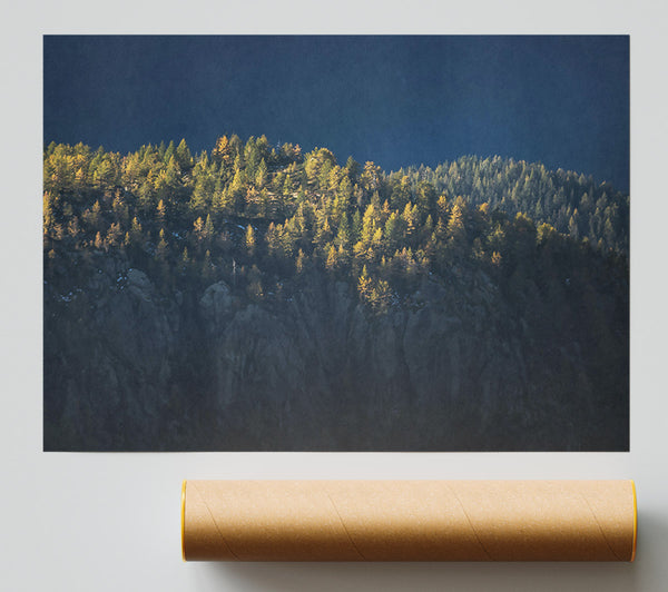 Golden Forest Ridge Poster