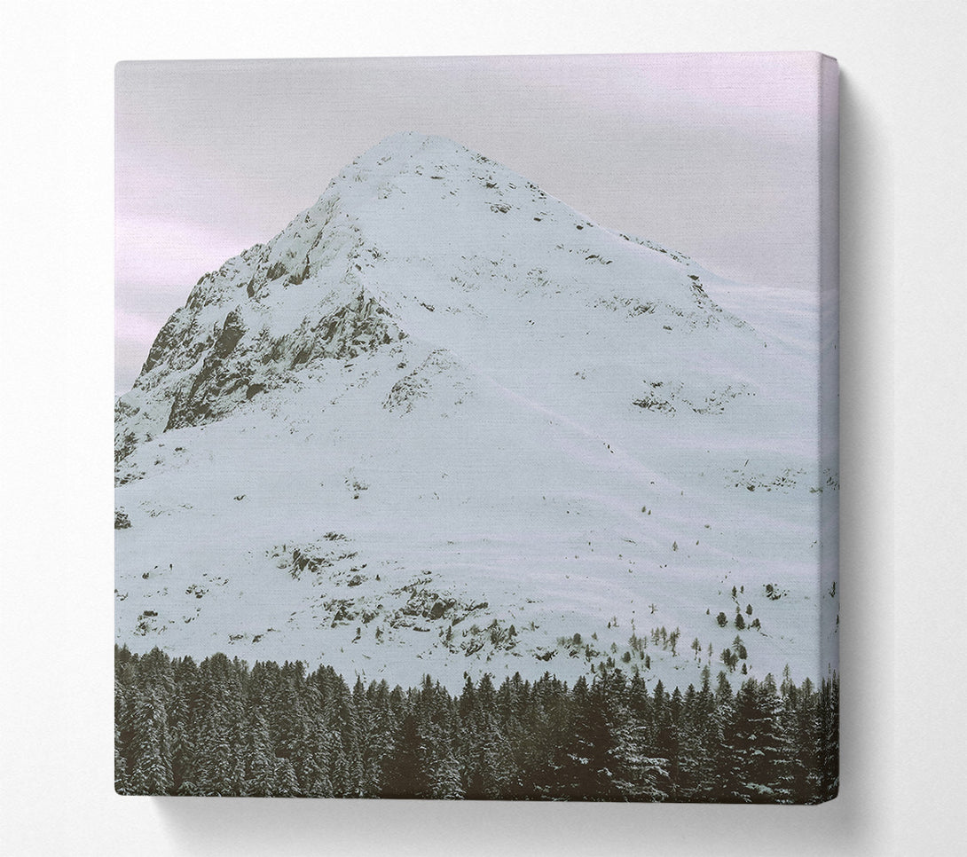  A Canvas Print of White Mountain Serenity Canvas Wall Art