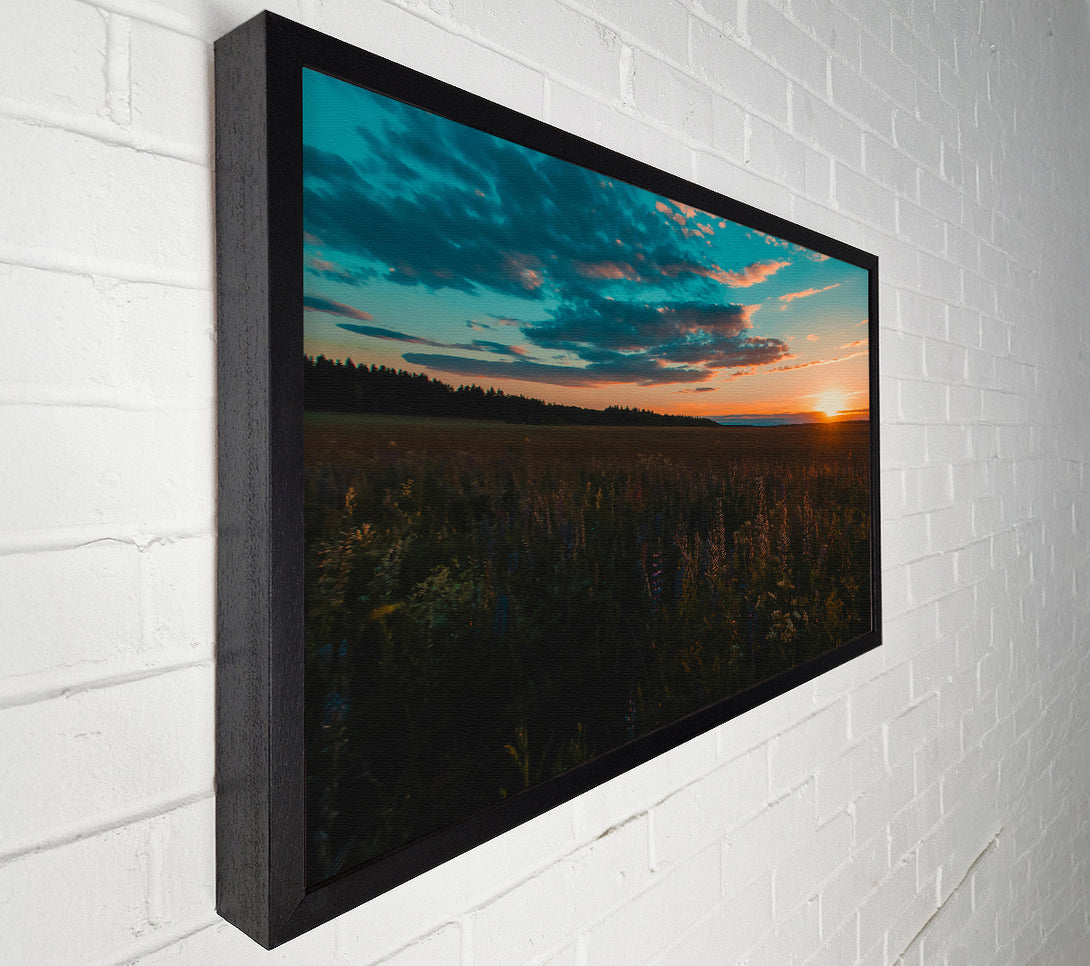  A Canvas Print of Golden Hour Field Canvas Wall Art