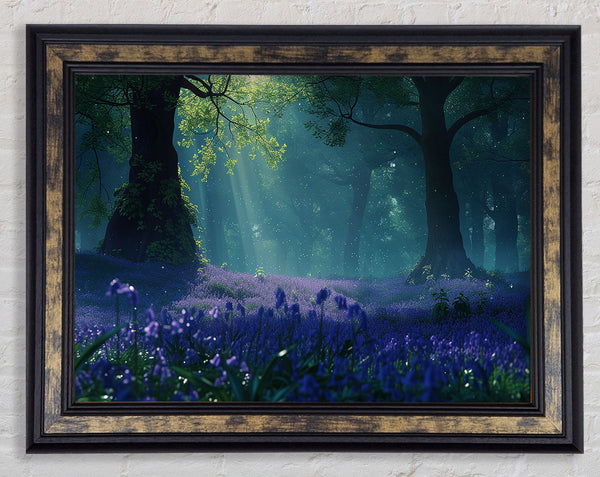 Bluebells Magical Framed Print
