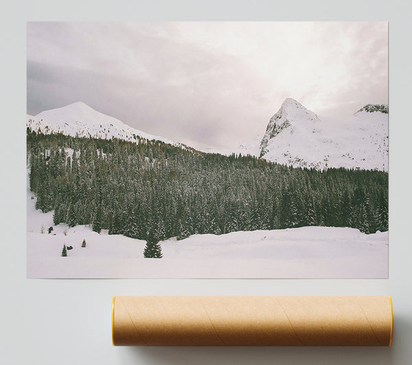 Pale Pines And Peaks Giclee Print